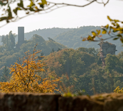 Castle Trifels near Annweiler