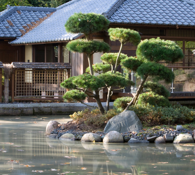 Vom Ufer eines Teiches aus auf die andere Seite fotografiert. Man sieht eine Hütte in Japanischen Stile. In der Mitte des Teiches ist eine Insel mit Asiatische Bepflanzung.