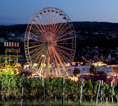 Blick vom Michelsberg mit dem Weinberg, Weinreben auf den Wurstmarkt in Bad Dürkheim