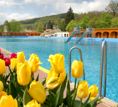 Frühlingshafte Tulpen umrahmen das noch geschlossene Freibad. Die große Wasseroberfläche kräuselt sich leicht im Wind.