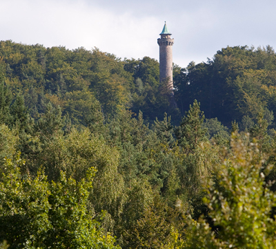 Blick auf vom weiter unten gelegenen Wald auf den Sommerlichen Humbergturm.