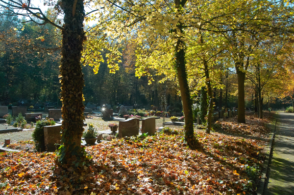 Friedhof Erzhütten