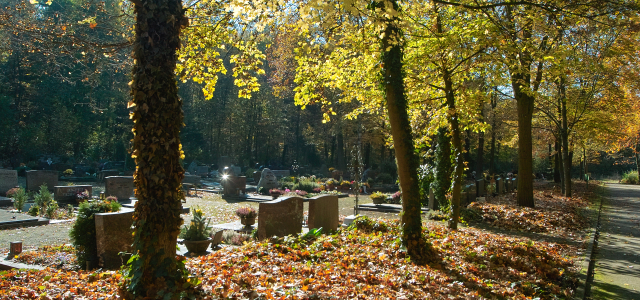 Friedhof Erzhütten