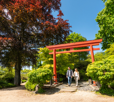 Japanischer Garten