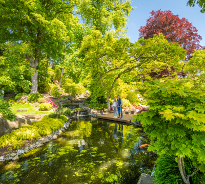 Japanischer Garten