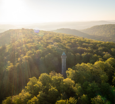 Blick aus der Luft auf den Humbergturm und den darumliegenden Pfälzerwald.