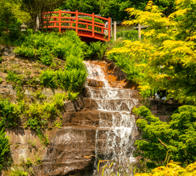 Japanischer Garten