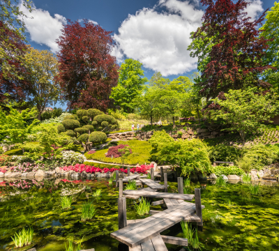 Japanese Garden