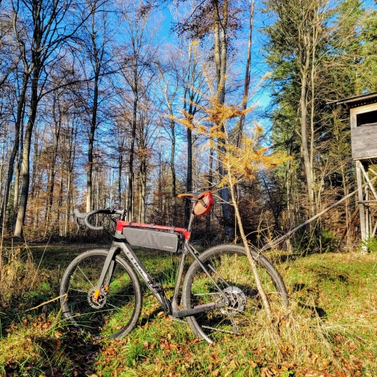 Im Vordergrund sieht man ein Mountainbike. Im Hintergrund Bäume und auf der rechten Seite einen Hochstand.