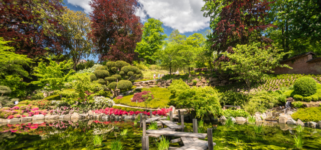 In the front you could see koi carp pond and in the background an original japanese teahouse. Both at the Japanese Garden