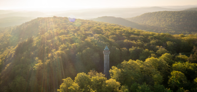 Blick aus der Luft auf den Humbergturm und den darumliegenden Pfälzerwald.