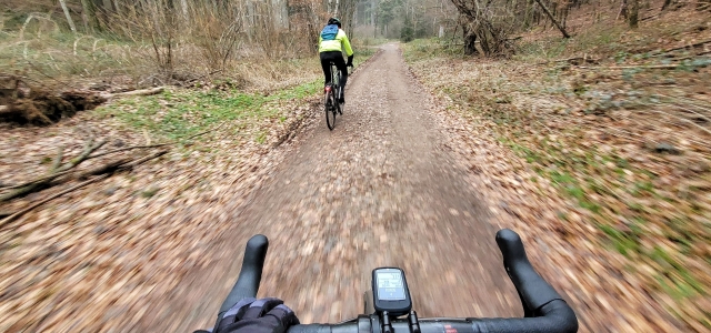 Zwei Mountainbikefahrer, die durch den Pfälzerwald fahren.