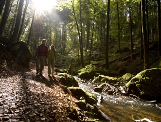 Blick in die Karlstalschlucht. Links sieht man zwei Wanderer, in der Mitte einen Bach. Die Schlucht ist gesäumt von Bäumen.