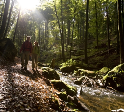 Blick in die Karlstalschlucht. Links sieht man zwei Wanderer, in der Mitte einen Bach. Die Schlucht ist gesäumt von Bäumen.