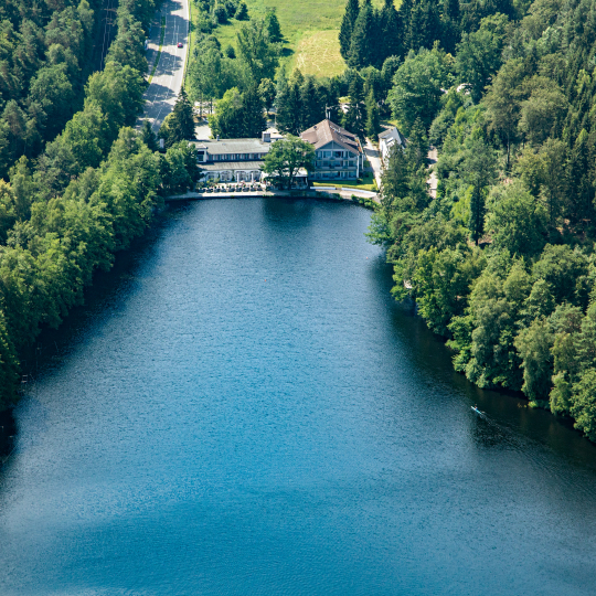 Gelterswoog Kaiserslautern