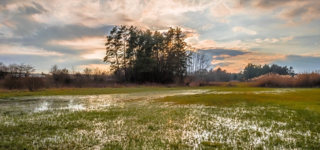 von Wasser überschwemmte Wiesenlandschaft